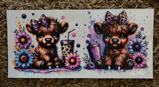 2 cows with cups