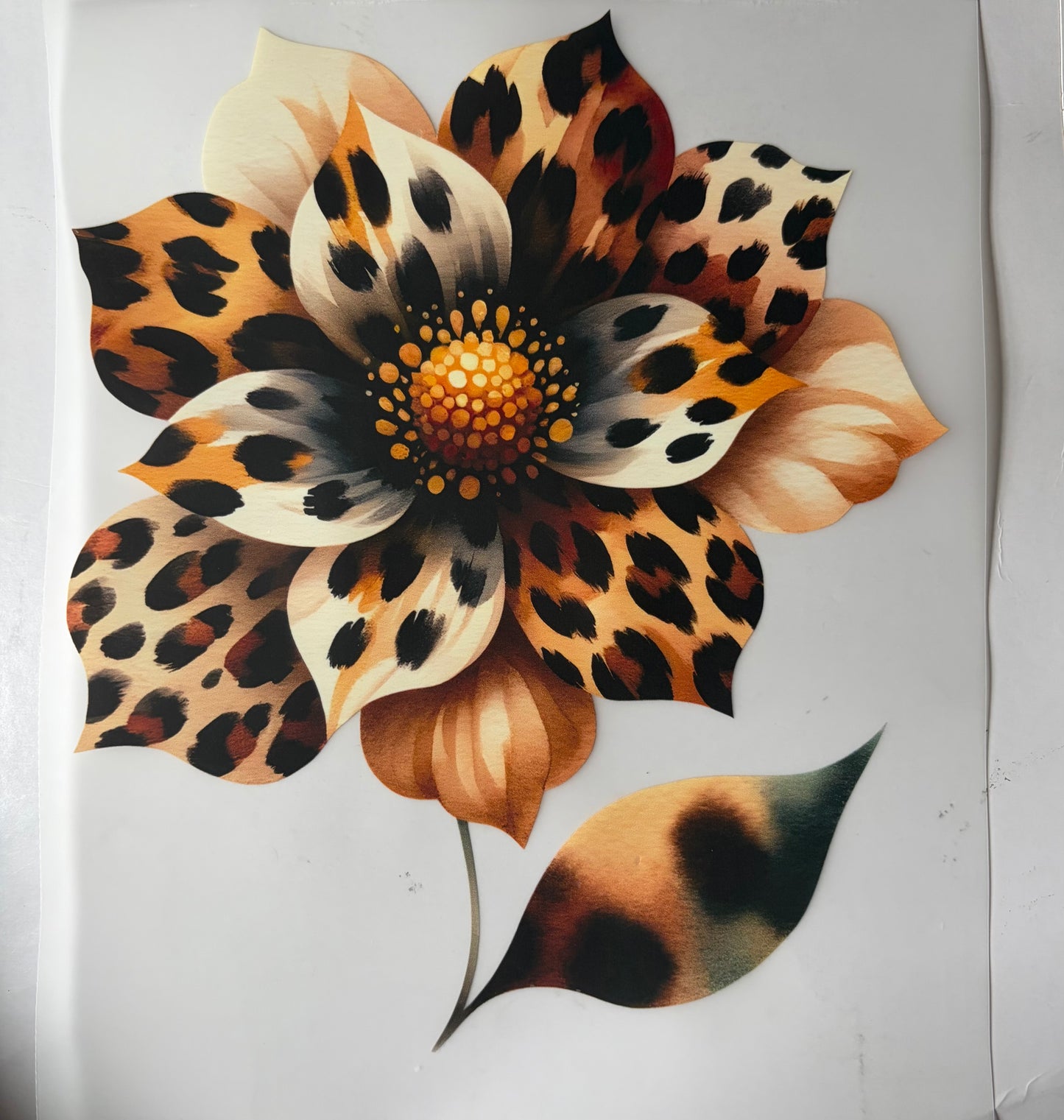Leopard Flower