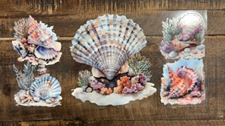 Shell